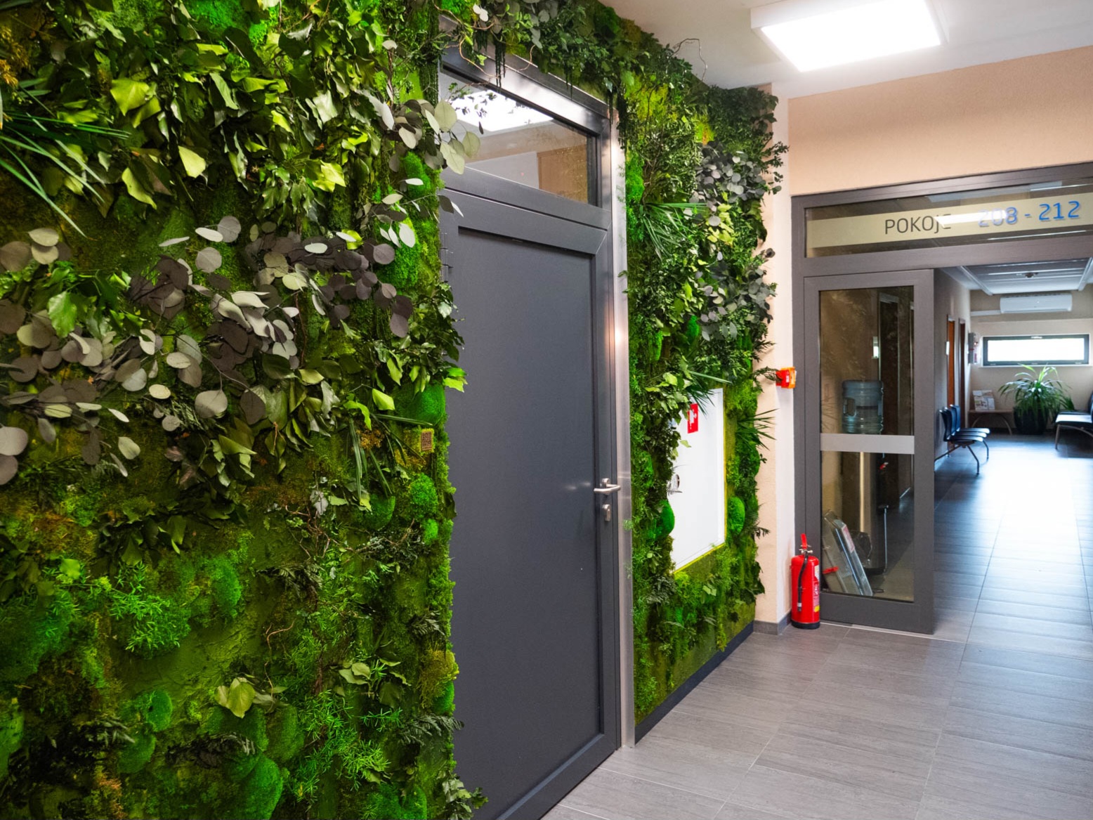 Zielona ściana z mchu i roślin stabilizowanych