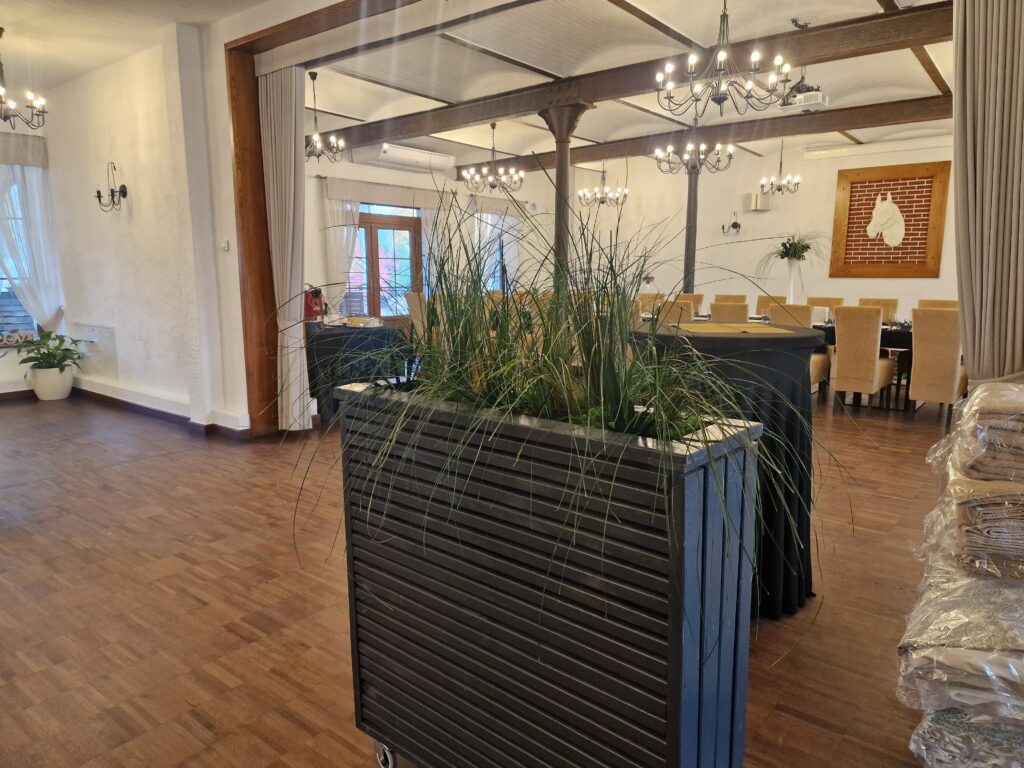 Rośliny stabilizowane w restauracji