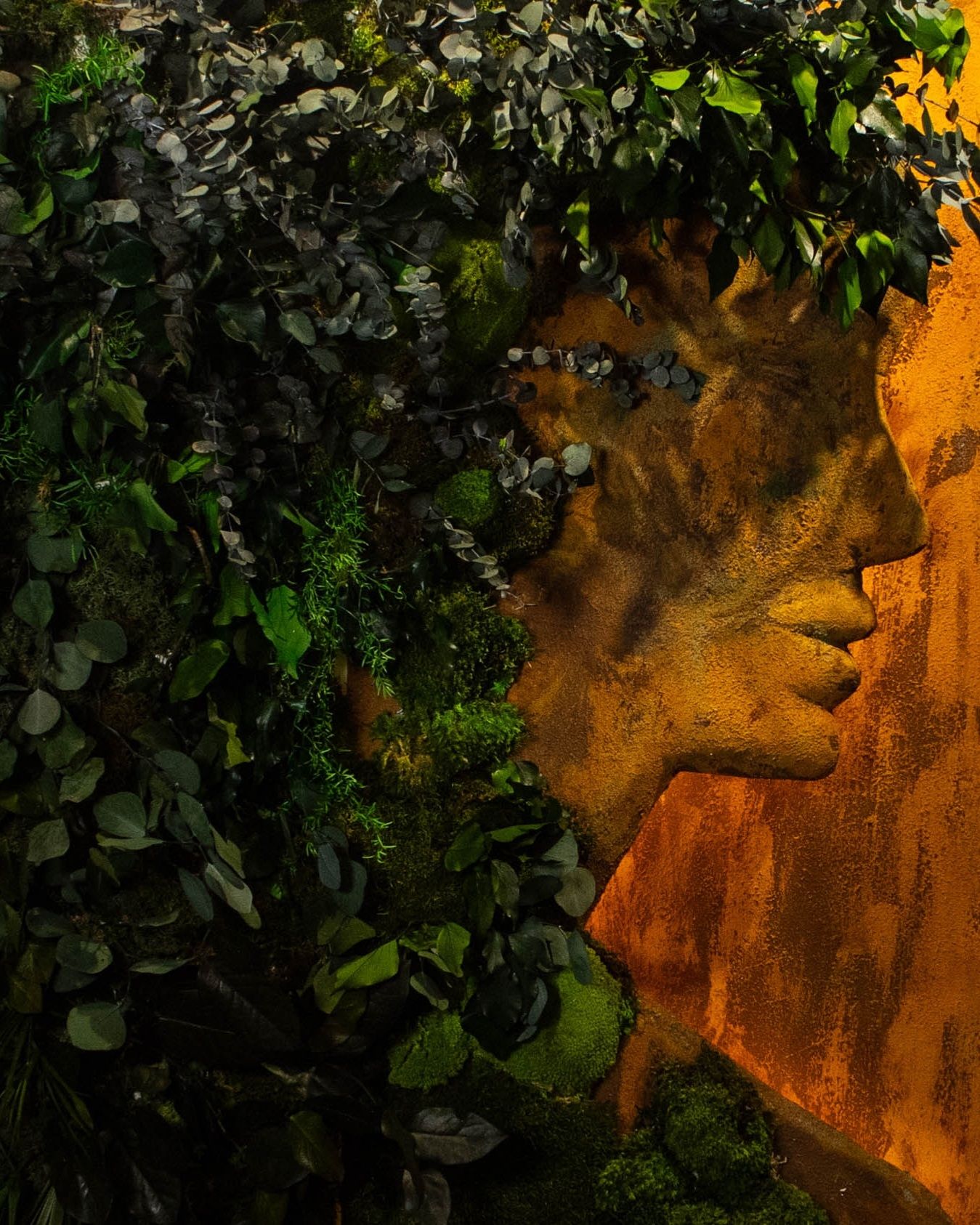 Kliknij, aby odtworzyć wideo