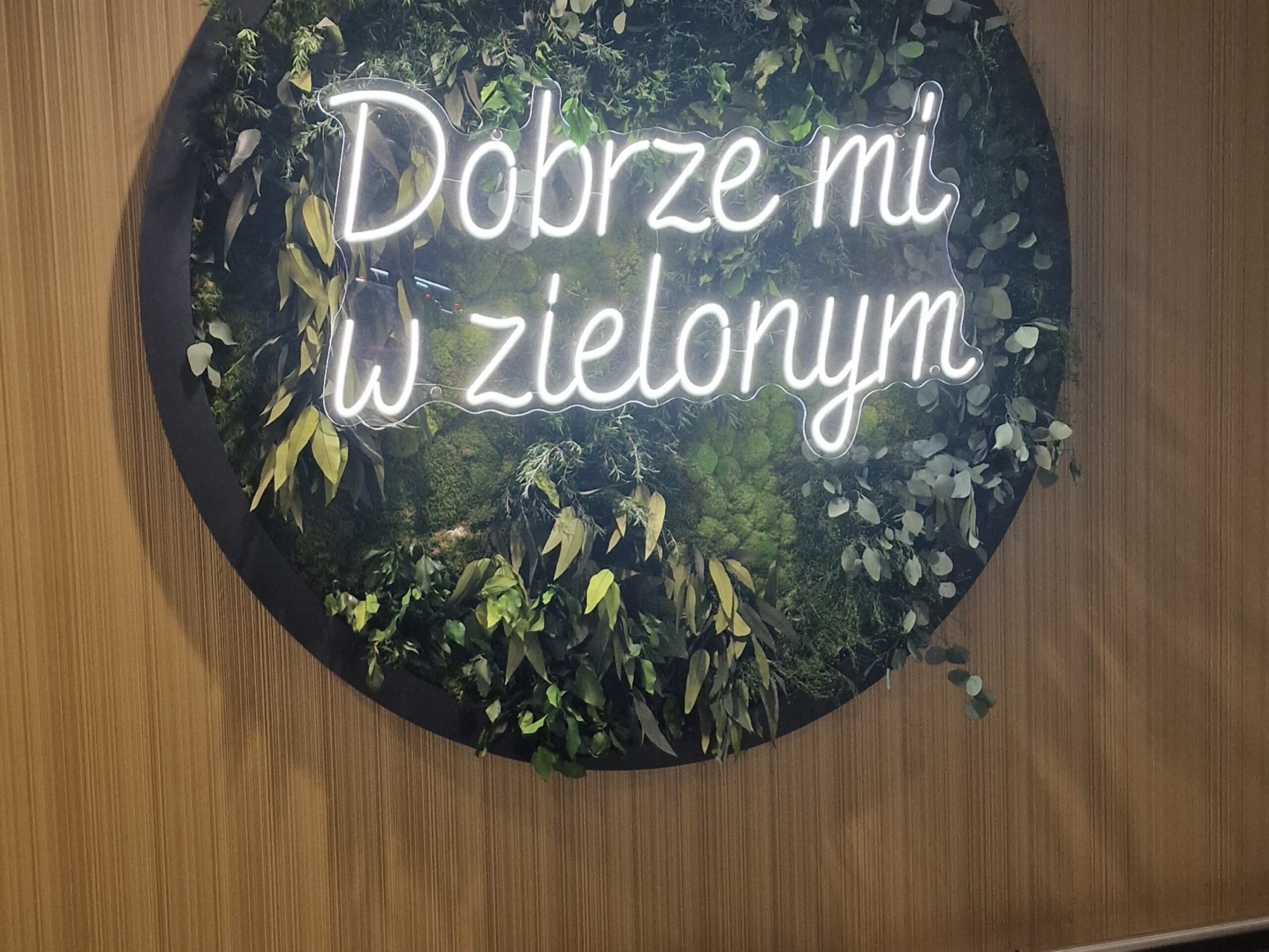 Obraz z roślin stabilizowanych.