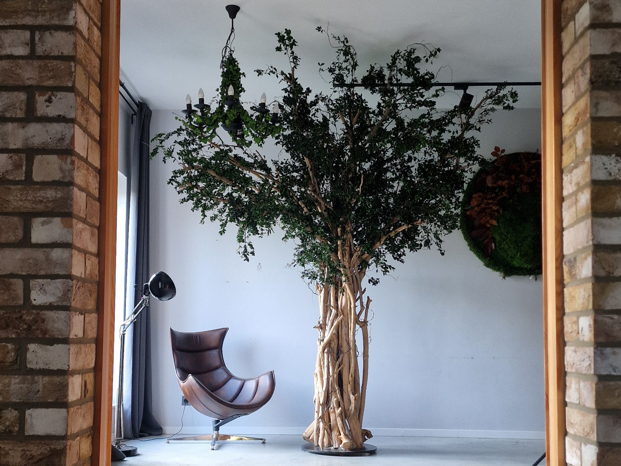 Drzewo stabilizowane w biurze.