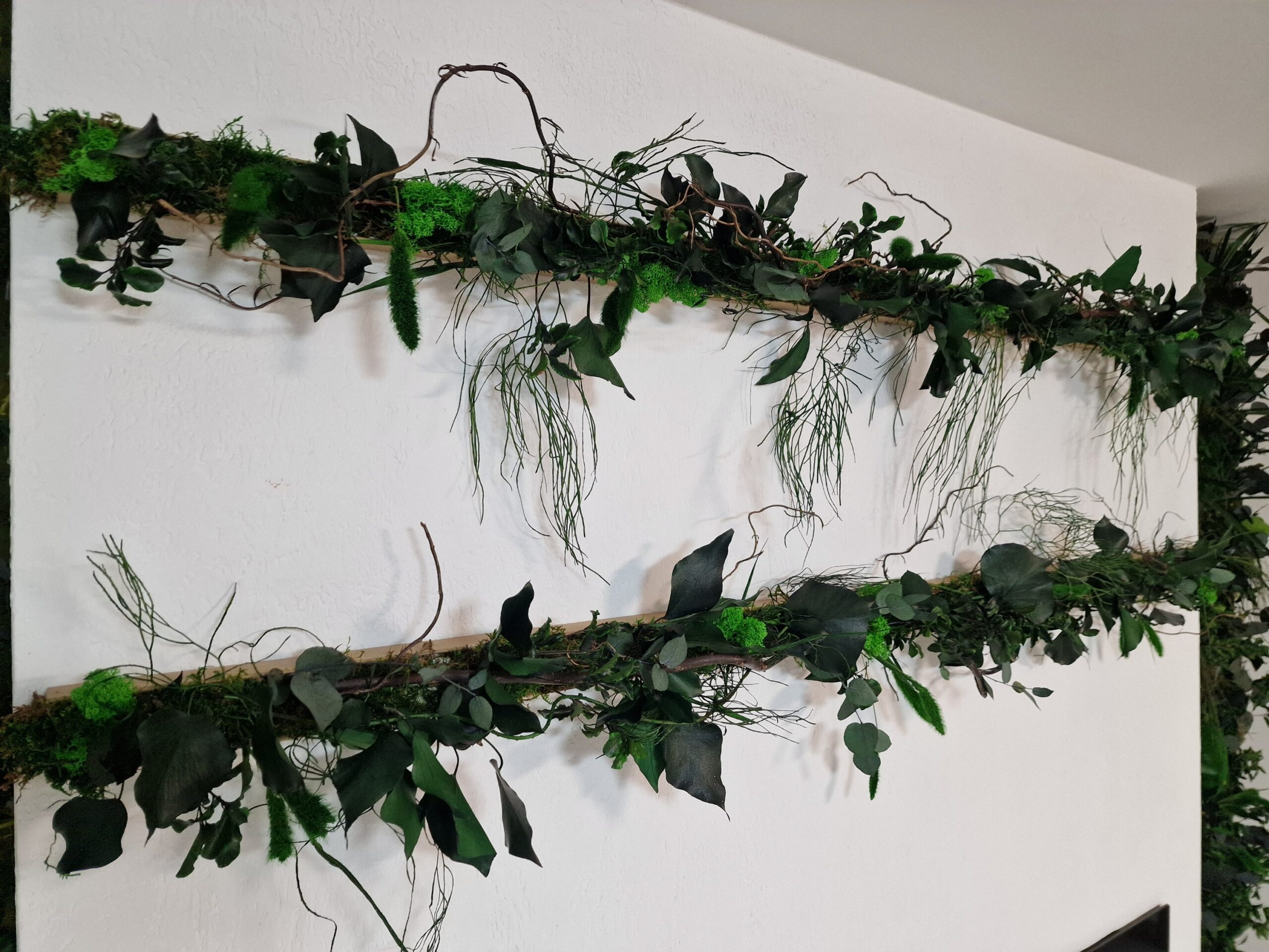 Listwy roślinne z roślin stabilizowanych, na ścianie.