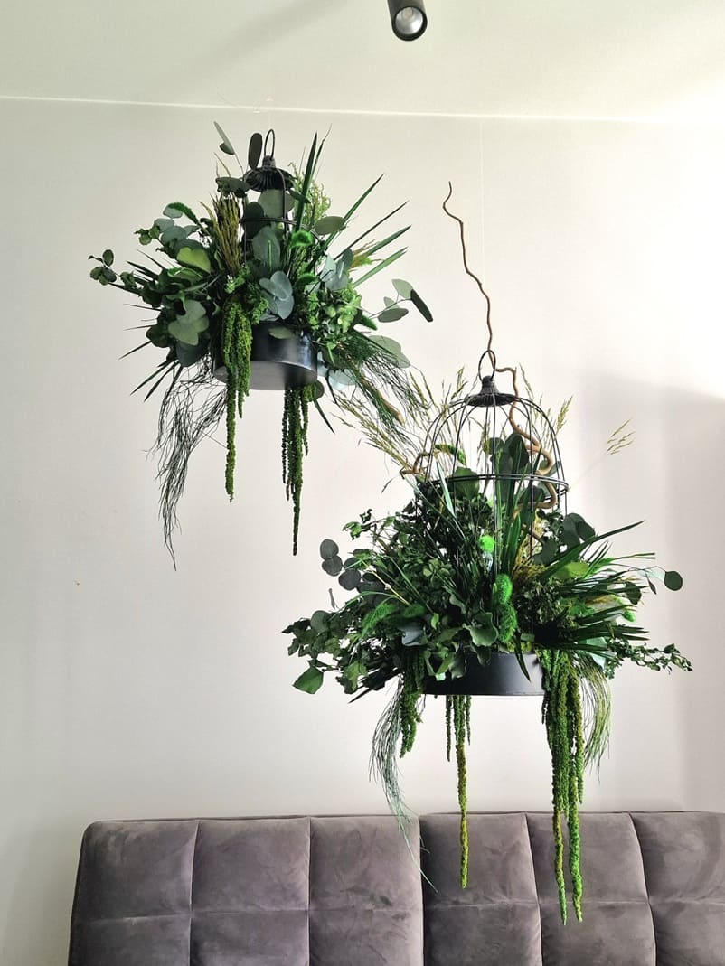 Wiszące rośliny stabilizowane w doniczkach.