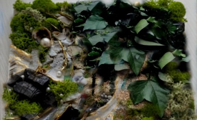 Warsztaty obrazy rośliny stabilizowane