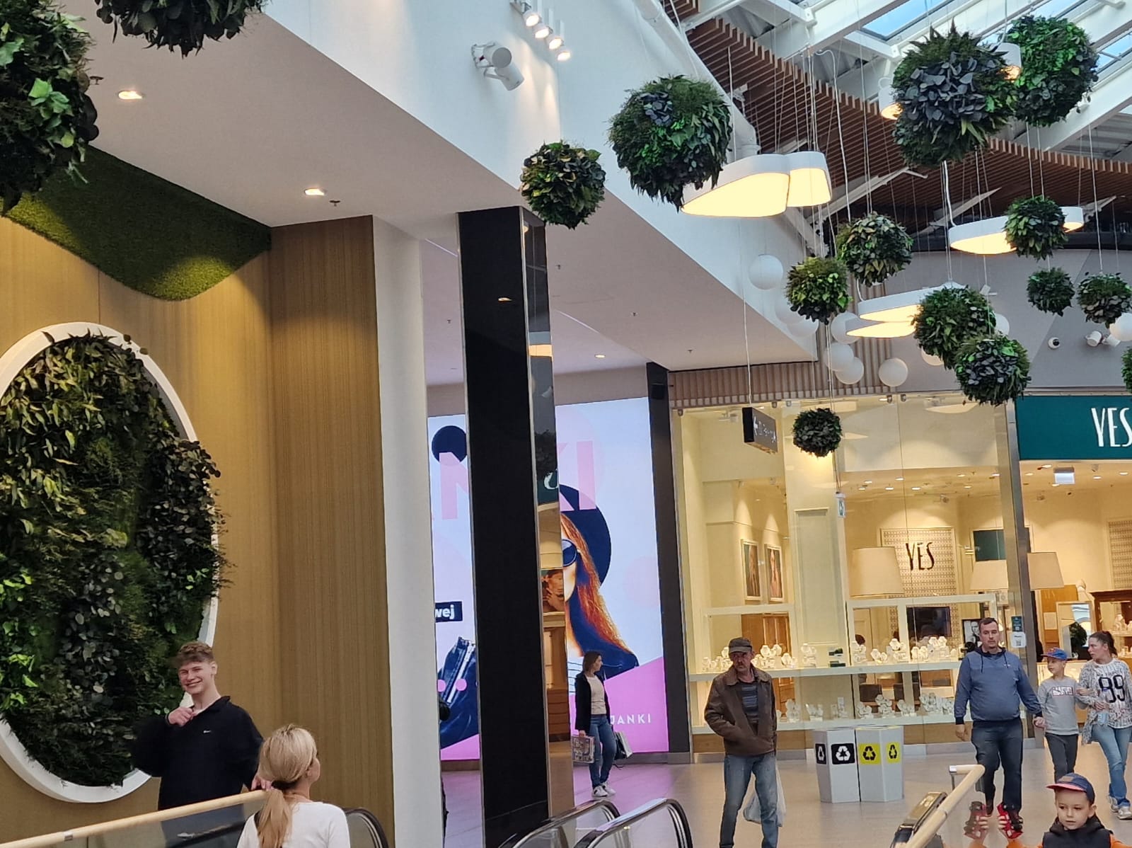 Wiszące rośliny stabilizowane w centrum handlowym