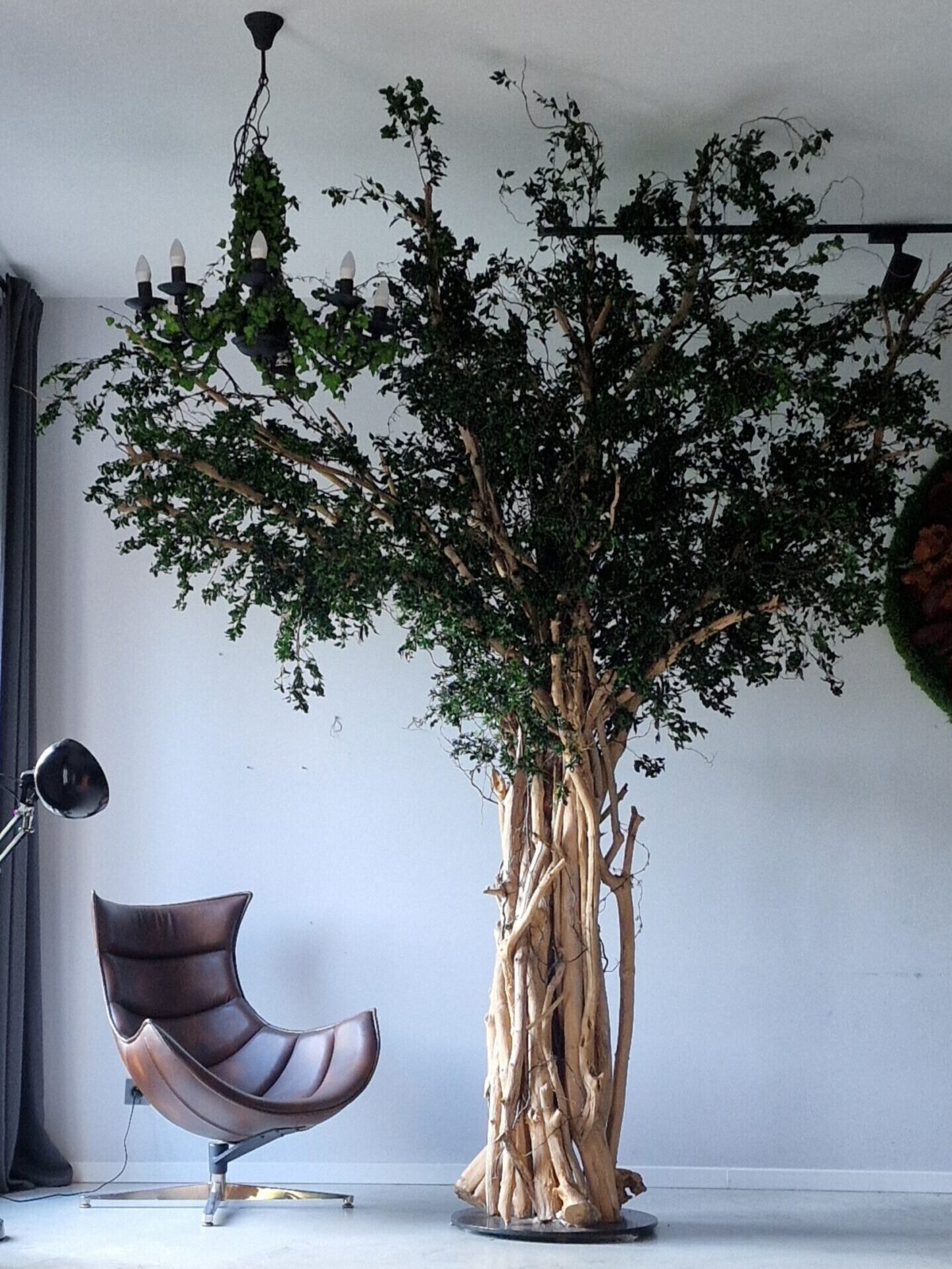 Rzeźbiarskie drzewo wolnostojące Artatelier – stabilizowana instalacja botaniczna w prestiżowym wnętrzu.